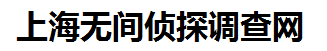 上海侦探调查公司